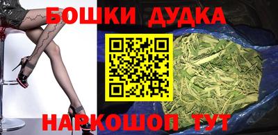 индика Шелехов