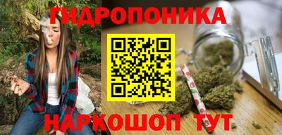 индика Шелехов