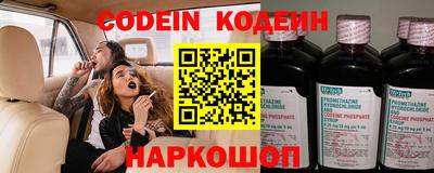 индика Шелехов